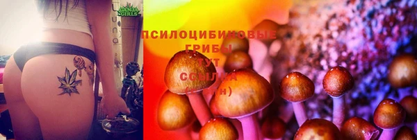 Альфа ПВП Абинск