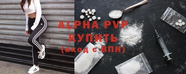 амф Корсаков