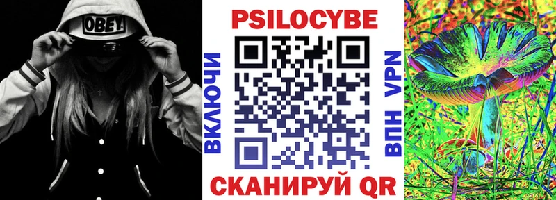 Галлюциногенные грибы мухоморы  купить наркотик  Казань 